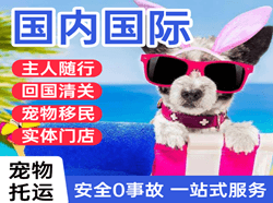 白塔航空货运国际宠物托运 【国